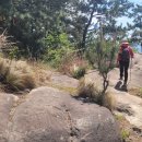 울산해양경찰서 화장실 이미지