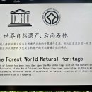 석림4로 이미지