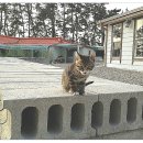 법수산장 이미지