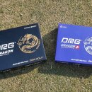 디알지(DRG) 이미지