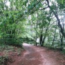 서봉산 산림욕장 1 이미지