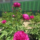 복주여자중학교 이미지