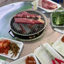 한우돈숯불구이 | 대전 여행 2025 대전 한우숯불구이축제 가격, 메뉴, 맛 솔직 후기