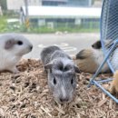 와우펫앤쥬 김해점 이미지