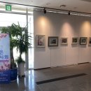 당진중앙2로 이미지