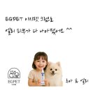성보펫케어 주식회사 | 🐶🐱 반려동물 피부케어는 EGF로!#이지펫 #EGPET 연고 사용법 &amp; 후기