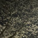 나이듦학교-노후준비 | 시간이 약이라는데, 부작용이 나이듦이었어