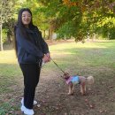 팻 빌리지 이미지