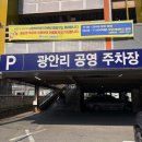 차와 함께 일상으로의 여행 | 100일 아기랑 애견동반 부산여행 후기 | 숙소•준비물•이동 꿀팁 총정리