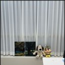 오산여자눈썹 리메이드 메이크업처럼 자연스럽고 고퀄리티 눈썹 완성