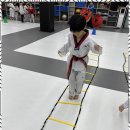 만나태권도 이미지
