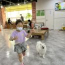 봉봉애견카페호텔 이미지