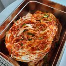 맛있는 김치 추천 국내산 해남배추 청주골김치 후기!