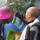 2016년 6월28일 경남거창군 양각산과 흰대미산 정보및 영상과 사진들 이미지