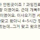 동탄 스케치 동물병원 | 동탄 동물 병원 400만원 치료비 진짜 후기