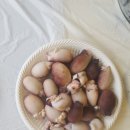 반딧불이 캠핑장 이미지