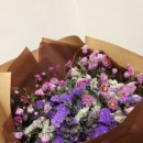 마론파피에 이미지