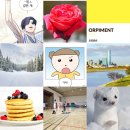세마나를놓아줘(7/16~8/6)