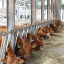 에벤에셀 목장 이미지