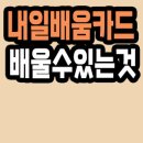 내일배움카드로 배울 수 있는것