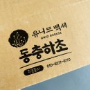 식후에는 구수한 유니드백세 동충하초 호박차 효능