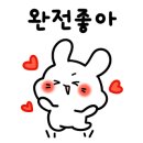 회꽃피는밤 이미지