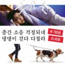 비바커피 이미지