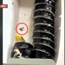 김밥집 이미지
