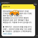 베베퓨어 이미지