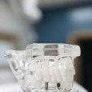 송담 M플란트치과의원 | 깔끔하고 쾌적한 안중치과 송담M플란트치과의원 안중, 실력과 정직함을 갖춘 치과