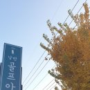 낭만골프아카데미 이미지