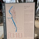 양산 가볼만한곳 통도사 무풍한송로 소나무길