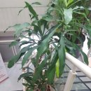 박내과의원 이미지