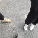 안전하고 즐거운 등산 이미지