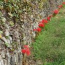 장흥 달바위펜션 이미지