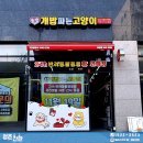 개밥파는 고양이 야당점 이미지