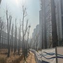 한양메이플공인중개사사무소 이미지