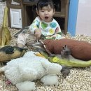 노리파크 박달점 이미지