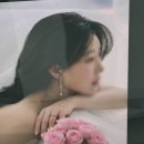 MK웨딩 | 셀럽비비 웨딩촬영 후기