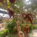 초유지 | 광주 패밀리랜드 근처 맛집 실내 식물원이 있어서 아이랑 가기 좋은 갈비, 화덕피자 맛집 초유지