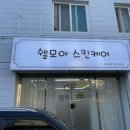 쉘모아스킨