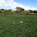 청수농촌체험휴양마을 이미지