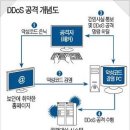 DDOS 공격 원리 이미지