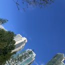 세강한의원 이미지