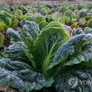 동동유통