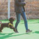 잔디당구장 이미지