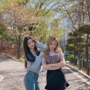 다은 카카오 검색결과