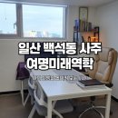 생활역학 | 일산 백석동 사주 여명미래역학 후기