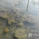 동면 생태친구들 이미지