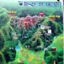 현대프라자 앞 이미지